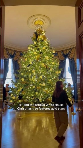 White House decked out for the holidays as public tours resume Tuesday