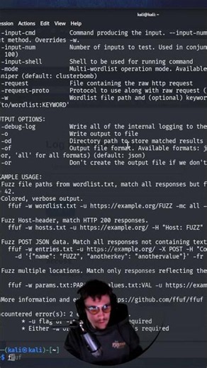 FFUF (Fuzz Faster U Fool), one of the fastest and most widely used web enumeration tools in