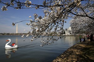 Vernal Equinox 2021: Facts, Quotes To Celebrate First Day Of Spring