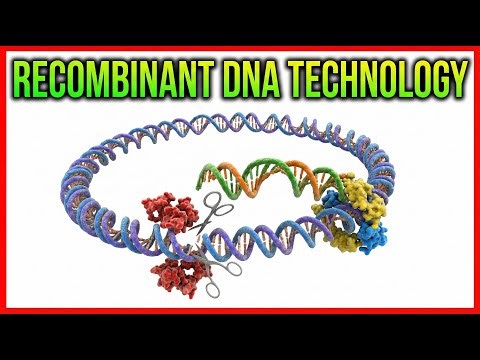 13. Recombinant DNA Technology 🧬⚡ | Cloning, Vectors & Applications | High-Yield USMLE Step 1