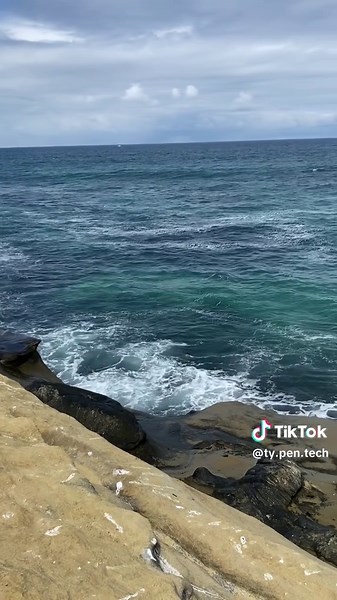 iPhone 11 Video Sample Review: Quality Insights