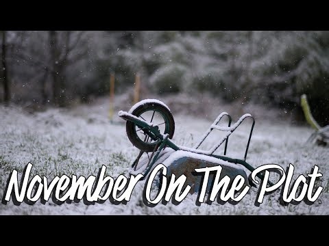 November Allotment Update GOGC2526