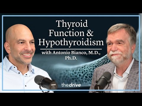 373 – Thyroid function & hypothyroidism: how new approaches are transforming care