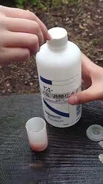 おもしろサイエンス実験「野菜ロケット」