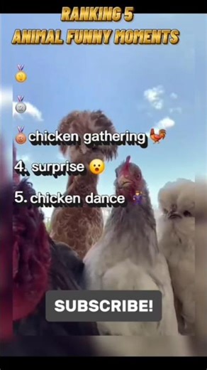 Ranking Best Animal Actors Everr #animalvideos#animalshorts #animalactors