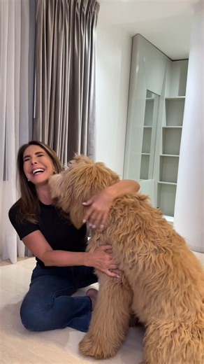 Viviana Gibelli | Estamos listos!!!… Comenzó la búsqueda. Ustedes saben cómo amo a los perros, perdí 2 Golden y realmente no me sentía lista para traer... | Instagram