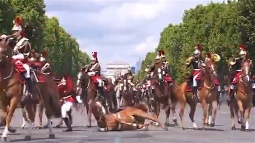 VIDÉO 14-Juillet : l’image insolite de la chute d’un cheval et son cavalier lors du défilé sur les Champs-Élysées