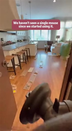 I Thought This Ultrasonic Pest Repeller From TikTok Was Fake….Until the Mice Left #usefulpetproducts #mouseproblem #techgadgets #chickenkeepingmusthaves #smartplugs