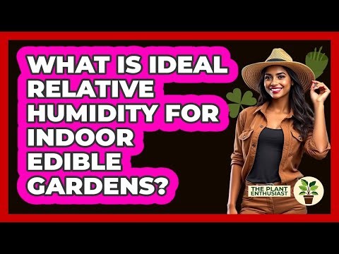 What Is Ideal Relative Humidity For Indoor Edible Gardens? - The Plant Enthusiast