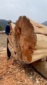 411K views · 8.1K reactions | Western Red Cedar Log Home during construction at our log building facility and at the home owners building site at lockup stage. We fully build the log Shell at our log yard then each log is tagged and loaded onto transport trailer or into shipping containers for delivery worldwide. #logcabin #loghouse #loghome #LuxuryHomes #customloghomes #milwaukeetools | Lake Country Log Homes - LCLH | Facebook