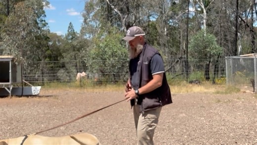 1.6K views · 25 reactions |  Big Bad Buster (who’s actually a gentle...