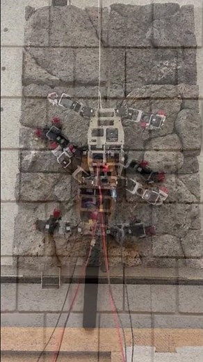 🧗‍♂️ This Robot Climbs Walls Like a Gecko – Meet LORIS!