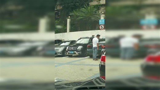 Viral video: Cat trying to climb wall fails hilariously