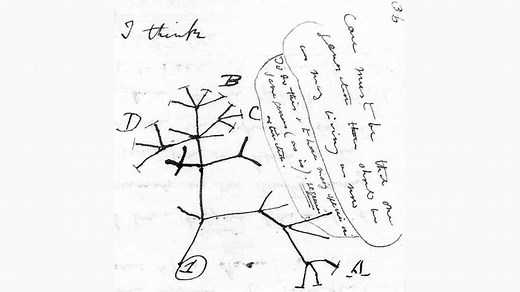 7 fascinating insights into how new species form