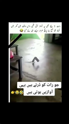 Funny comedy jokes shorts videos 🤣🤣 #funny #jokes #comedy #trending #shorts #hasnamanahai-85