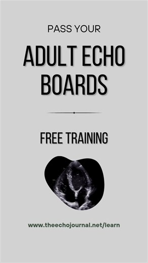 9.1K views · 86 reactions |  Free Adult Echo Training Just Got an Upgrade! ✅ Refreshed Study Guides ✅ New Practice Tests ✅ Bite-Sized Mini Lessons  Click below to join — spots are limited! https://www.theechojournal.net/learn | The Echo Journal | Facebook