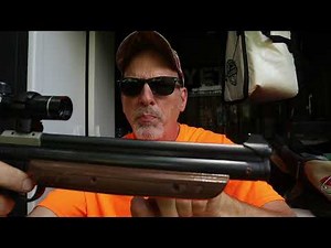 Crosman 1377 Pellet Pistol & Gamo Lethal Pellets