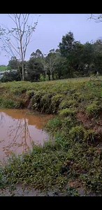 � Quero colo � | Minha Casa no Sítio