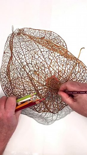 4.2K views · 96 reactions | Botanical Framework: A remarkable colored...