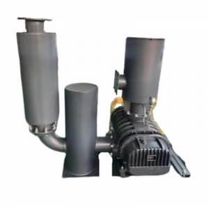 [Hot Item] Lt 200 Roots Blower Positive Pressure Suitable for Industrial Heavy-Duty Applications