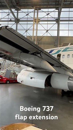Boeing 737 trailing edge, flaps. #boeing737