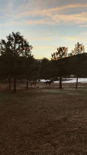 January 12, 2026 Chilli and Natalia say “catch us if you can!”🏃‍♀️💜🎉❤️ #livingtheirbestlife