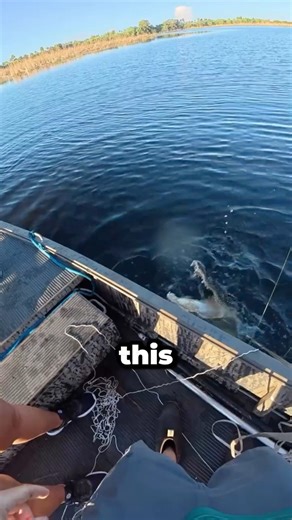 He Caught A Alligator While Fishing!