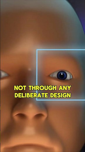 Eyes, Design, and the Blind WATCHMAKER