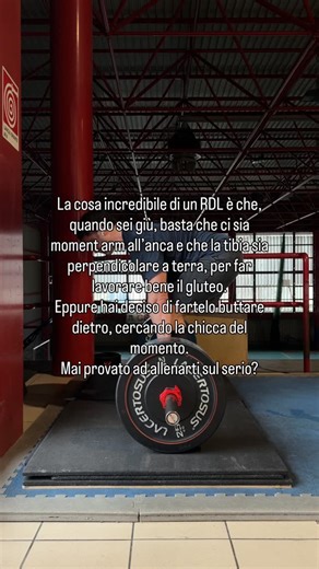 Davide Casappa - Powerlifting & Bodybuilding Coach on Instagram: "È fondamentale, per un’atleta che vuole migliorare, conoscere come funzionano COM, COP e GRF su un RDL? Assolutamente no. Bastano tre cose: effort, tecnica e volume. Insegnare un RDL è semplice. Farlo è altrettanto semplice. Farlo bene e ad effort elevati è più complesso, ma alla portata di tutti. E allora perché sono tutti alla ricerca della chicca per migliorare di più e in meno tempo? Perché, di base, hanno un mindset da perden