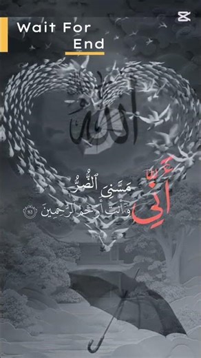 tilawat quran best tilawat with beautiful voice