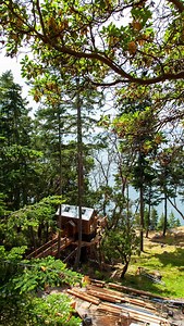 Building this sweet seaside treehouse marked an excellent kickoff to the summer building season! 🌞🛠️🏡 We embraced the roots of treehousing with no electricity or plumbing, crafting unique details to bring our client’s childhood dream to life. 💫 #treehouse #treehouselife #treehousemasters #treefort #carpentry | Nelson Treehouse and Supply