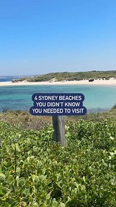 Sydney beach hunt *unlocked*. 🌞 Have you visited any of these hidden gems? 📍 Boat Harbour Aquatic Reserve, Cronulla 📍 Kutti Beach, Vaucluse 📍 Chinamans Beach, Mosman 📍 Castle Rock Beach, Clontarf Thanks for sharing your #feelnewsydney moments TT/zoerosejordan, thetonyrhee, mikey_gould, eviemxoxo | Sydney.com