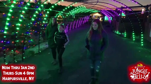 Jungle Bells: Holiday Lights Display is shining bright at Animal Adventure! A million lights bright, a million memories waiting to be made! Meet & feed hundreds of animals, take pictures with Santa, and take in the mesmerizing sights of the area's largest light display! Open Thursdays through Sundays from 4-9pm now through January 2nd in Harpursville, New York! | Animal Adventure Park