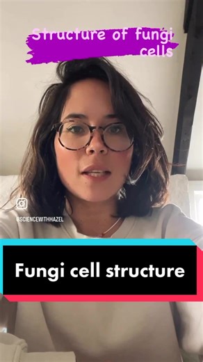 Fungi cells are eukaryotic meaning they contain a nucleus. They also have a cell wall made from chitin, cytoplasm, cell membrane, vacuole, ribosomes and mitochondria. Good examples include yeast and mucor. This reel is suitable for gcse and igcse biologists x #gcses #gcse #igcse #gcses2023 #edutok #gcsenotes #biology