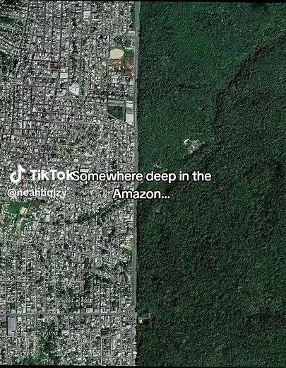 If you get lost in this forest, every direction can look the same. 🌳😨 #fyp #amazon #amazonrainforest #viral #nature