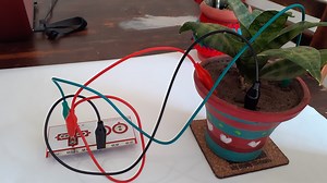 “Mi planta necesita agua”. Proyecto con Scratch y Makey Makey - Tecnologia Humanizada