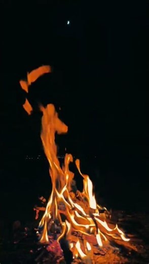 # winter ❄️ night