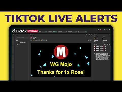 Complete TikFinity Setup - 2025 TikTok LIVE Alerts (Gifts, Follows, Subs, TTS and more)
