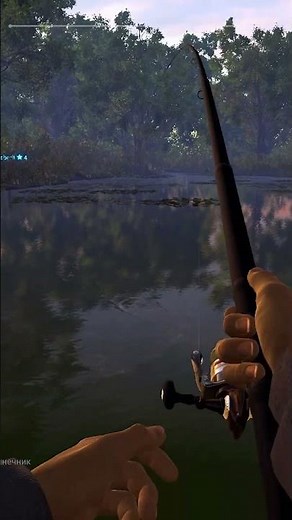 I finally caught my first fish in the fishing simulator.