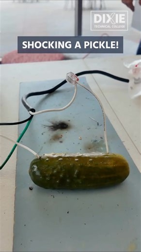 Electrical Program Instructor Lights Up Lab with Shocking Pickle Experiment
