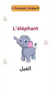 Le vocabulaire des animaux en français, répète et mémorise facilement #animals #funny #fyp #viral