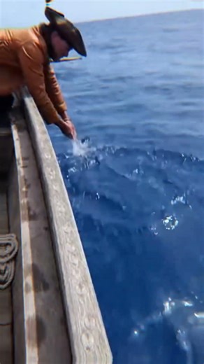 We Put a GoPro on a Tuna… It Found a Sunken Warship