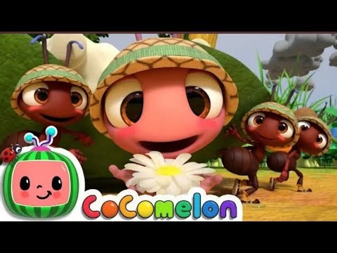 Ant Adventure Song 🐜 | Ant Kids Songs | Nursery Rhymes & Kids Songs | Fun Learning for Children