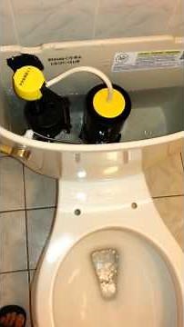 Kohler Cimarron toilet w aqua piston flush