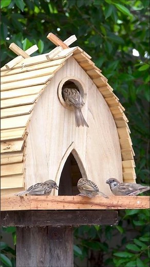 Easy Bird Feeder Made From Scrap Wood At HOME #diy #crafts #birdlovers #shorts