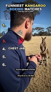 Top 6 funniest kangaroo boxing fights ranked 🥊 #Shorts