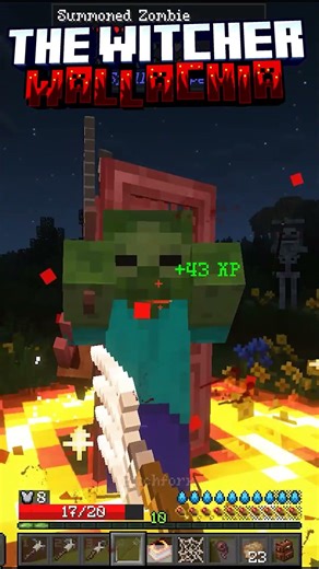 Minecraft The Witcher - Wallachia