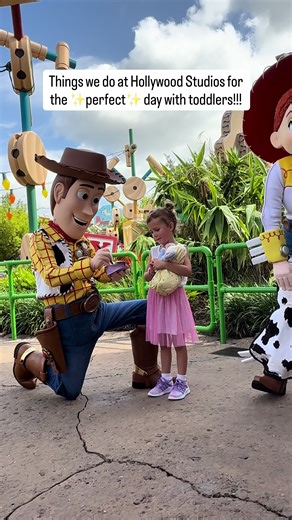 Top Disney World Attractions and Shows for Families