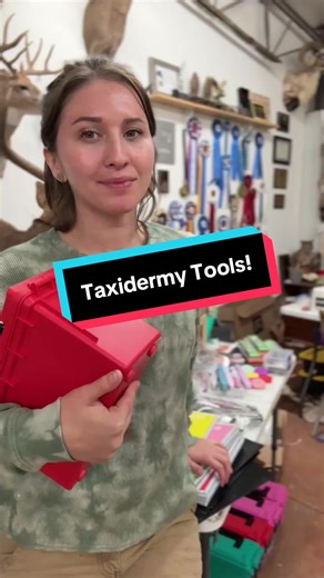 Taxidermy tools! 😺 these are taxidermy kits that I put together for my workshops. Everyone gets to bring home all the tools and supplies from the class (and also the mount!) #taxidermy #taxidermytools #taxidermyschool #taxidermyclass #wildlifeart
