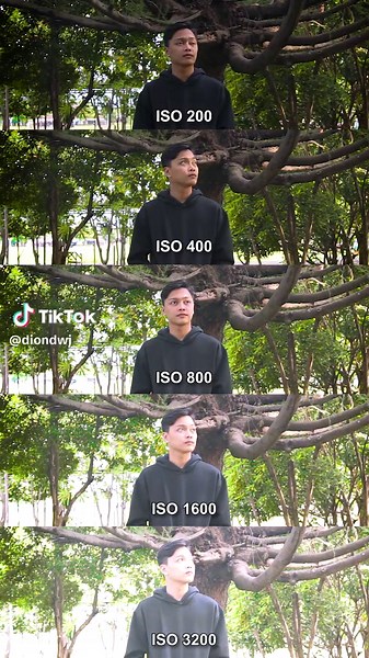 Entendiendo la Diferencia en ISO para Video